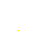 Y995